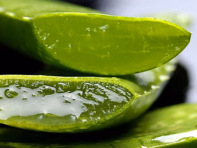 Na co działa aloes w kosmetyce?