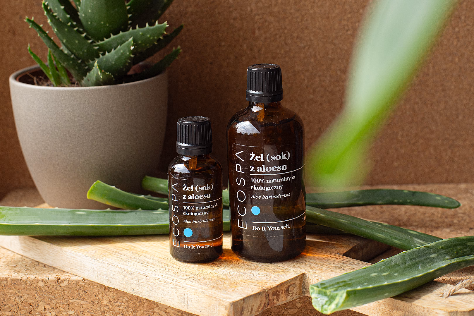 Czy aloes jest bezpieczny do spożycia?