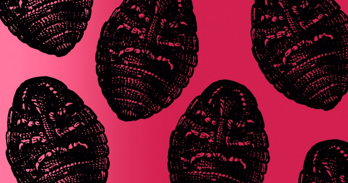 Czy karmin jest bezpieczny w kosmetykach?