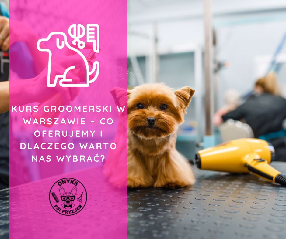 Ile potrzeba na otwarcie salonu groomerskiego?