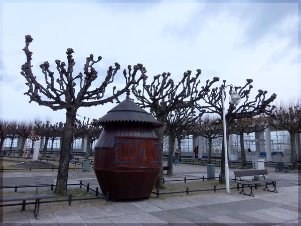 Ile kosztuje drzewo lipy?