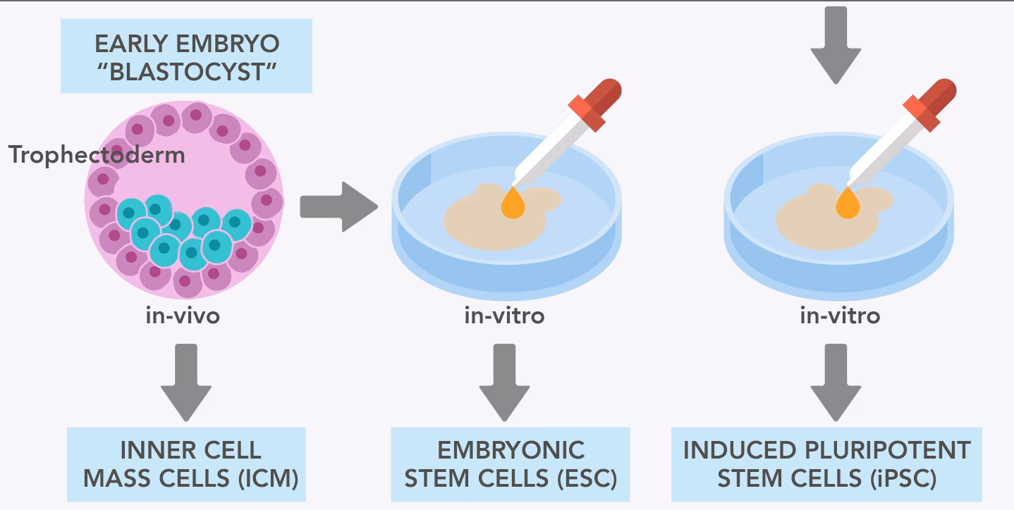 Czy na transfer można mieć makijaż?