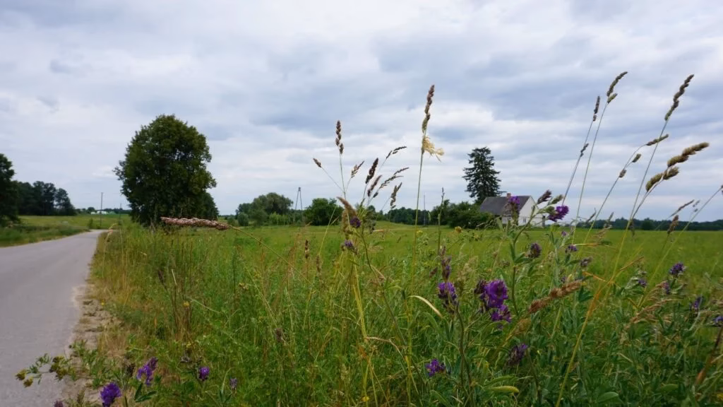 Czy osoba będąca na krusie może pracować?