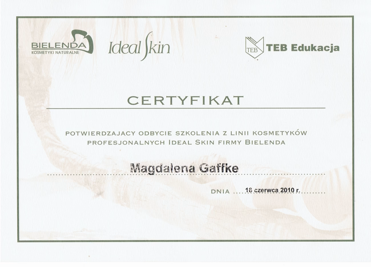 Co obejmuje automatyczne uznawanie kwalifikacji zawodowych?