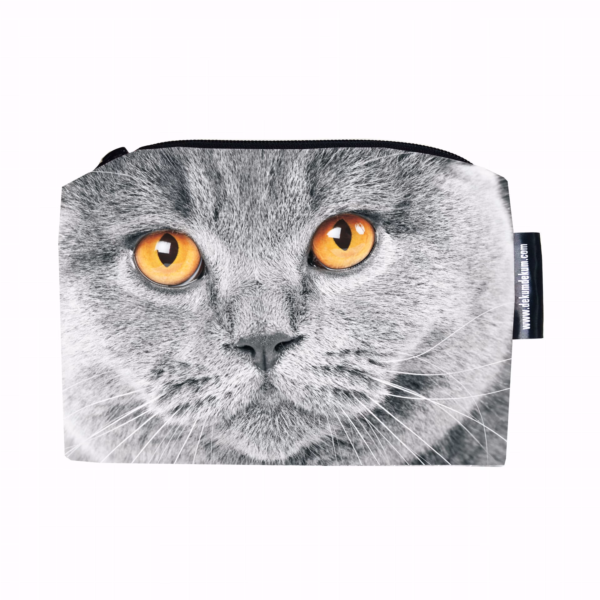 Czy z kotem można iść do fryzjera?