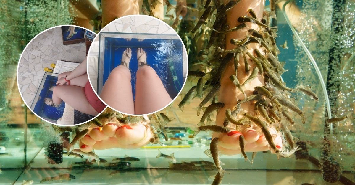 Czy fish pedicure jest zdrowy?